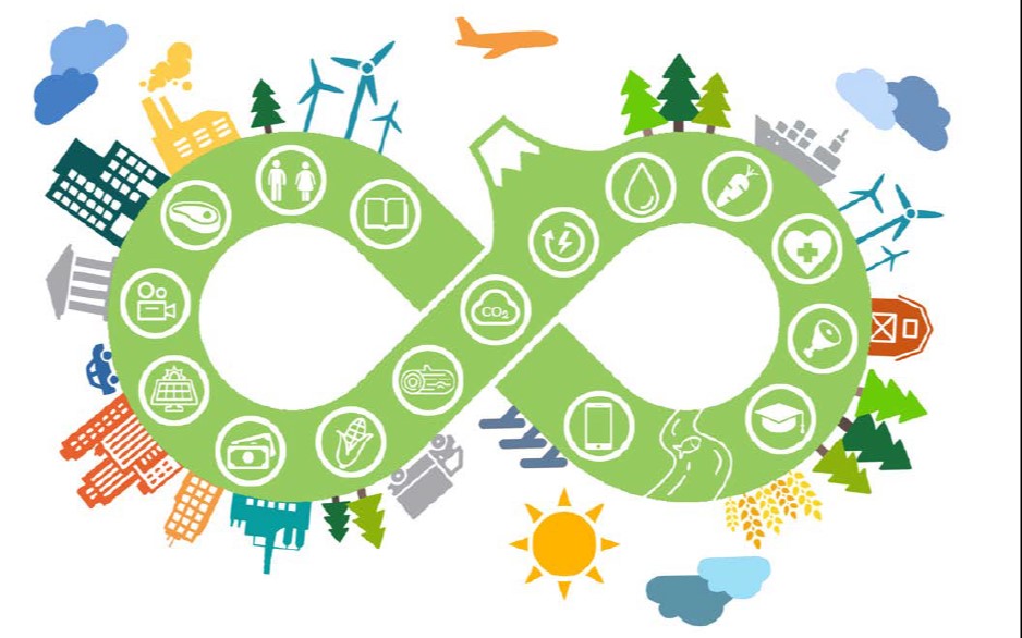 Territoires bas-carbone, production locale et revitalisation régionale : le concept japonais de « Regional Circular and Ecological Sphere »