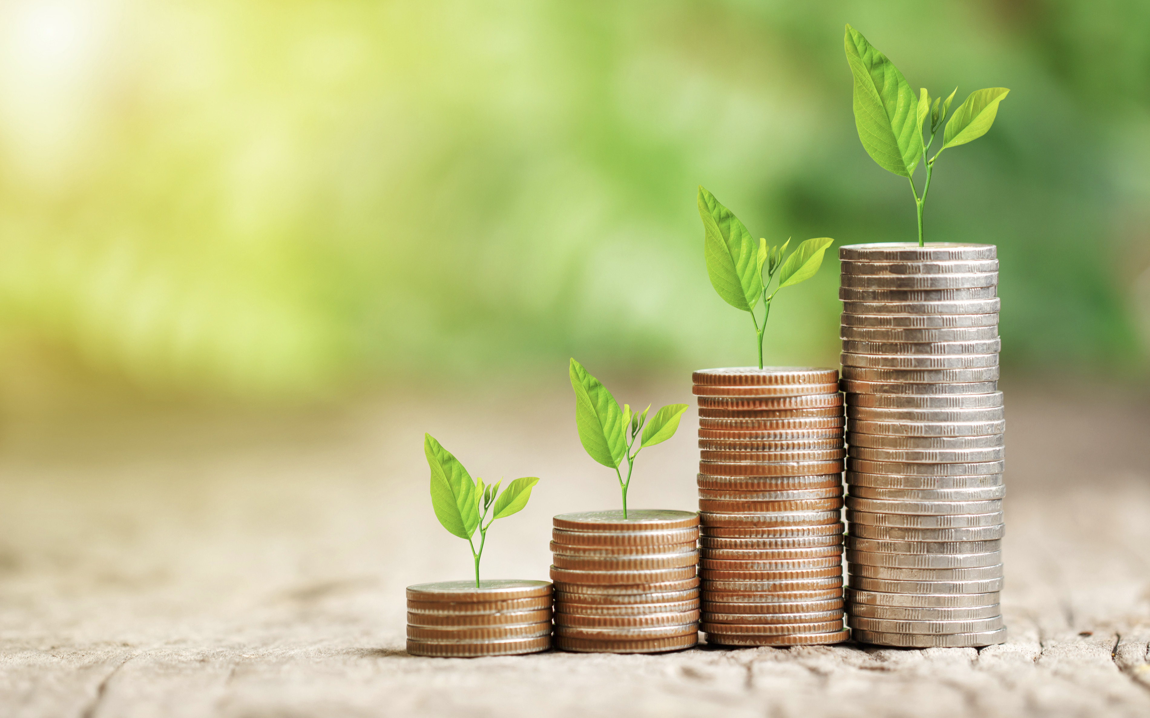 Un premier bilan sur le rapportage public des entreprises en matière d’adaptation au changement climatique.