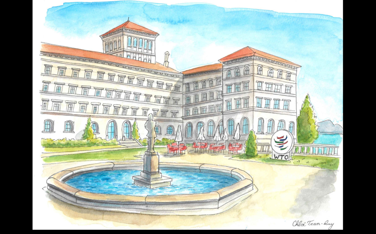 Brèves de l'OMC n°4  Juin-Juillet 2025 : "Le commerce durable, quelle action multilatérale ?"