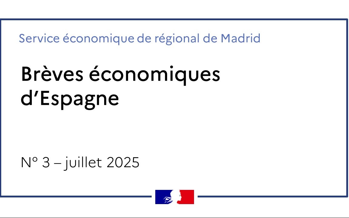 Brèves économiques d'Espagne Nº03/2025