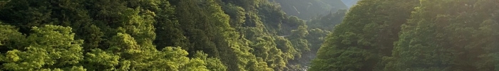 Forêts au Japon - Source Leah Mesnildrey