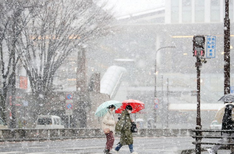 Neige à Sendai (c) Mainichi/Daisuke Wada