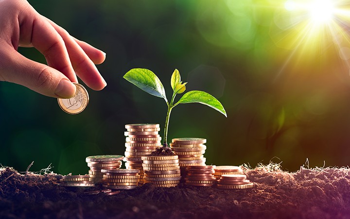 Finance Climat : Un Soutien Essentiel pour une Transition Écologique Mondiale