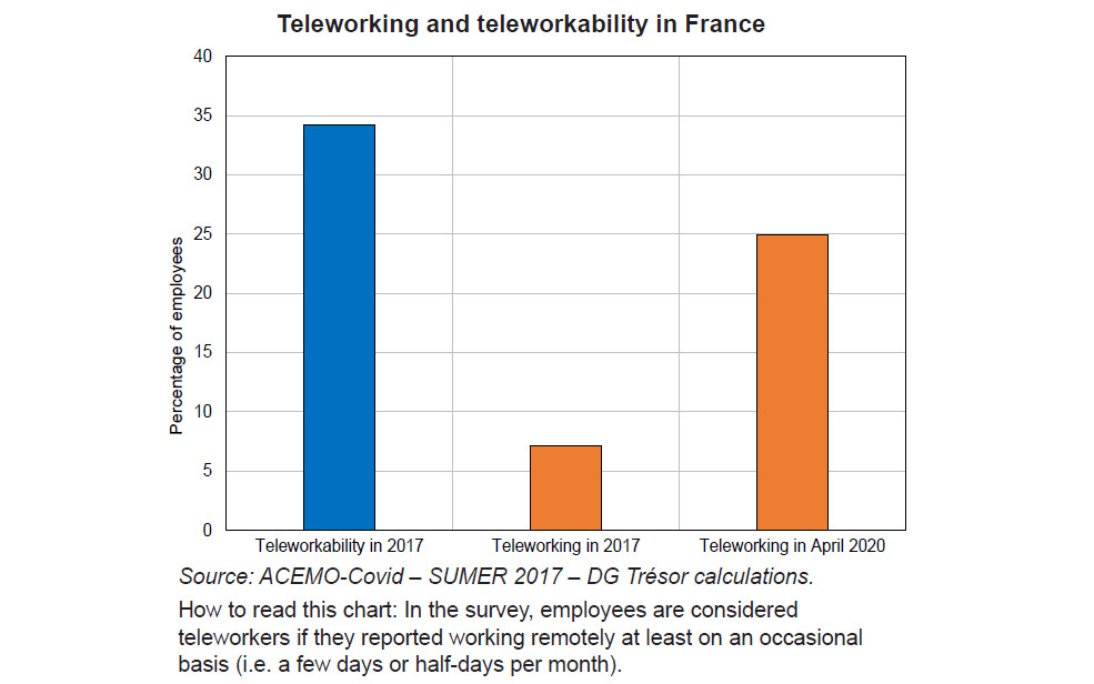 How Effective Was Remote Working for Managing the COVID-19 Pandemic?