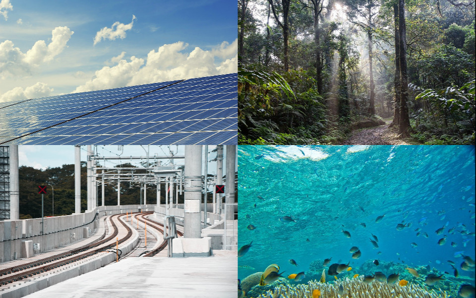 Actualités développement durable - semaine 48