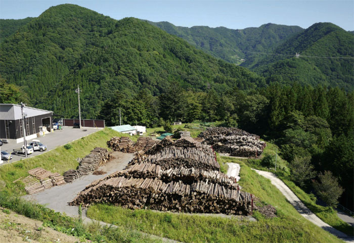 Matière première pour granulés de bois - Source maff.go.jp