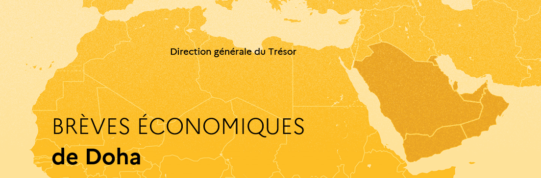 Revue de Presse N&deg;127 - 01/01/2026