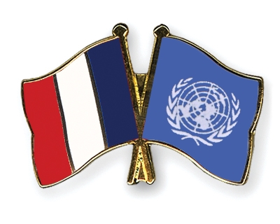 https://www.drapeaux-shop.com/pins-amitie/drapeau-France/Pins-France-O-N-U.jpg