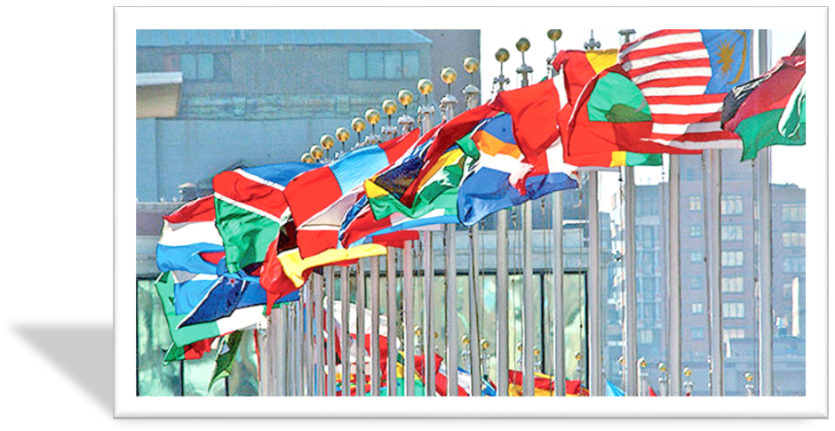 UN flags